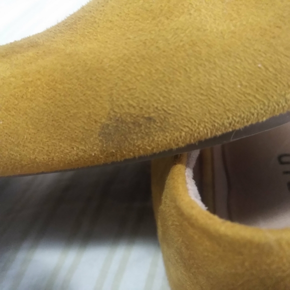 Torrid yellow flats - Picture 3 of 7